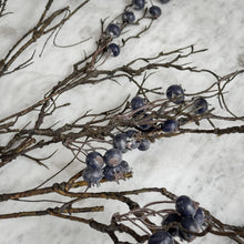 Load image into Gallery viewer, Blueberry Branch