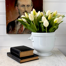 Load image into Gallery viewer, French Ironstone Footed Pot with Handles