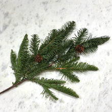 Load image into Gallery viewer, Balsam Fir + Cone Spray