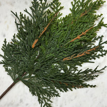 Load image into Gallery viewer, Short White Cedar Spray
