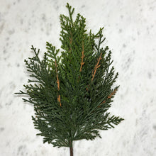 Load image into Gallery viewer, Short White Cedar Spray