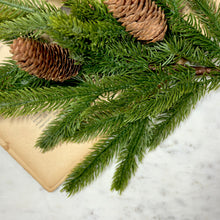 Load image into Gallery viewer, Spruce Spray with Pine Cones