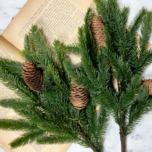 Load image into Gallery viewer, Spruce Spray with Pine Cones
