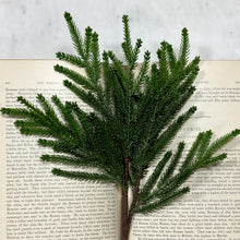 Load image into Gallery viewer, Princess Pine Spray