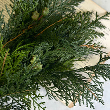 Load image into Gallery viewer, White Cedar Bush