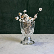 Load image into Gallery viewer, French Pressed Glass Coupe Glass
