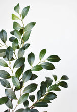 Load image into Gallery viewer, 26&quot; Faux Ruscus Leaf Stem
