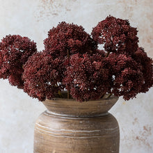 Load image into Gallery viewer, Burgundy Sedum Artificial Stem
