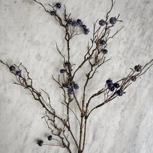 Load image into Gallery viewer, Blueberry Branch
