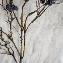 Load image into Gallery viewer, Blueberry Branch
