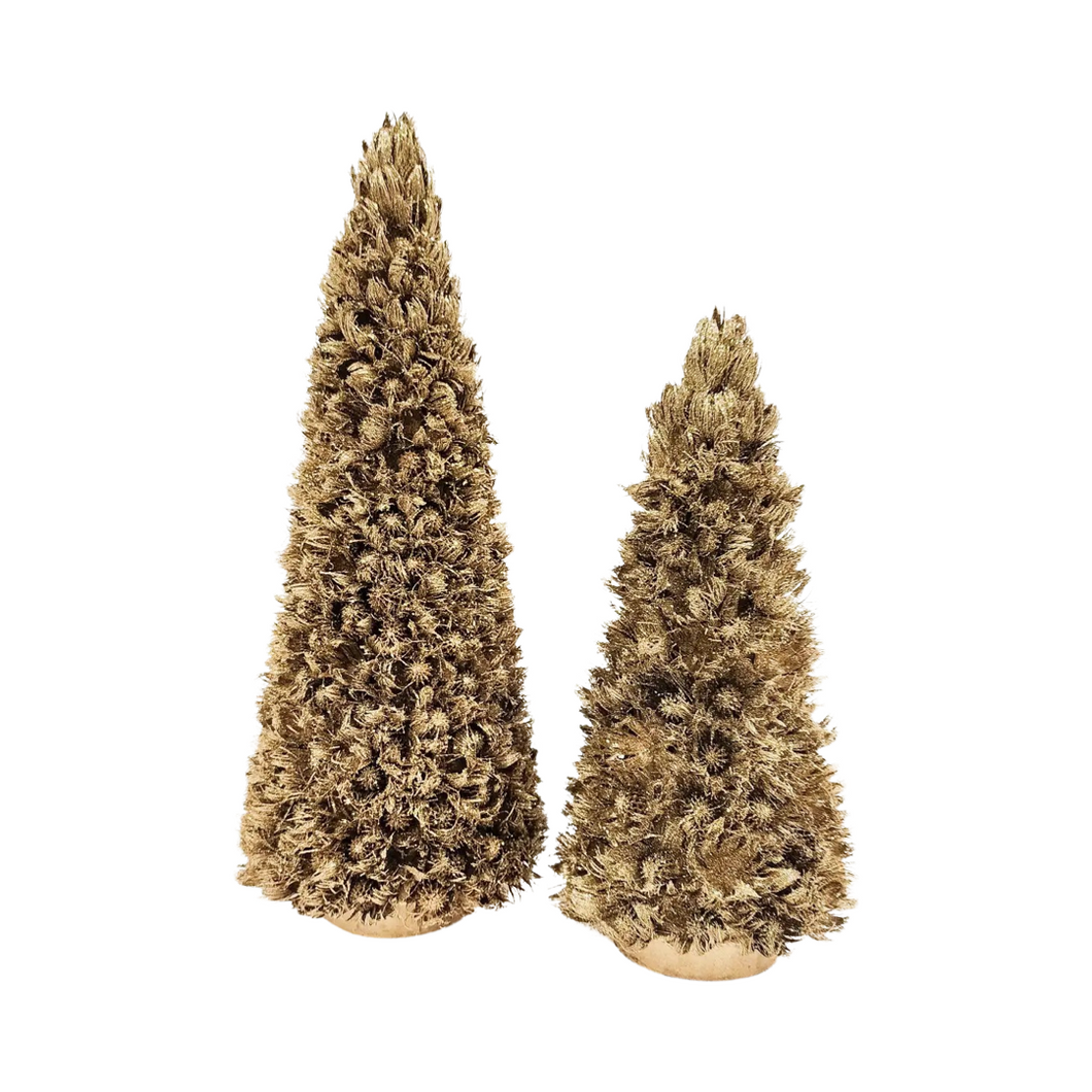 Gold Bua Flower Cone Tree