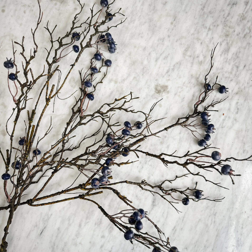 Blueberry Branch