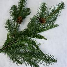 Load image into Gallery viewer, Balsam Fir + Cone Spray
