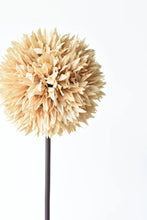 Load image into Gallery viewer, Faux Tan Allium Stem

