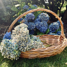 Load image into Gallery viewer, French Gathering Basket
