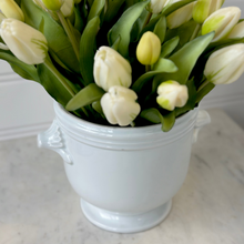 Load image into Gallery viewer, French Ironstone Footed Pot with Handles
