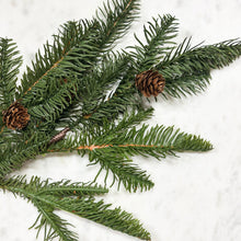Load image into Gallery viewer, Balsam Fir + Cone Spray
