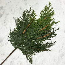 Load image into Gallery viewer, Short White Cedar Spray
