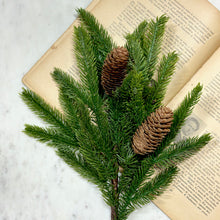 Load image into Gallery viewer, Spruce Spray with Pine Cones
