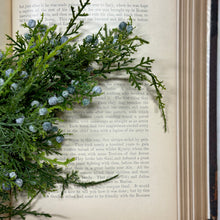 Load image into Gallery viewer, Juniper Berry Stem

