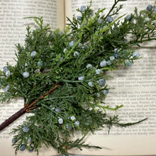 Load image into Gallery viewer, Juniper Berry Stem
