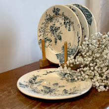 Load image into Gallery viewer, Antique French Transferware Plates
