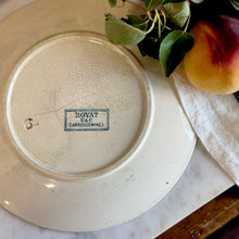 Load image into Gallery viewer, Antique French Sarreguemines “Royat” Plate
