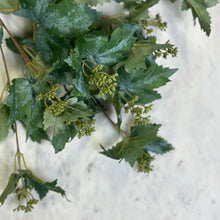 Load image into Gallery viewer, Faux Green Maple Stem
