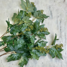 Load image into Gallery viewer, Faux Green Maple Stem
