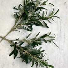 Load image into Gallery viewer, Faux Olive Spray
