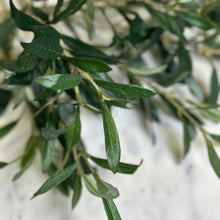 Load image into Gallery viewer, Faux Olive Spray

