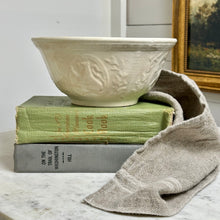 Load image into Gallery viewer, Rare Ironstone Lion Passant in Relief Bowl
