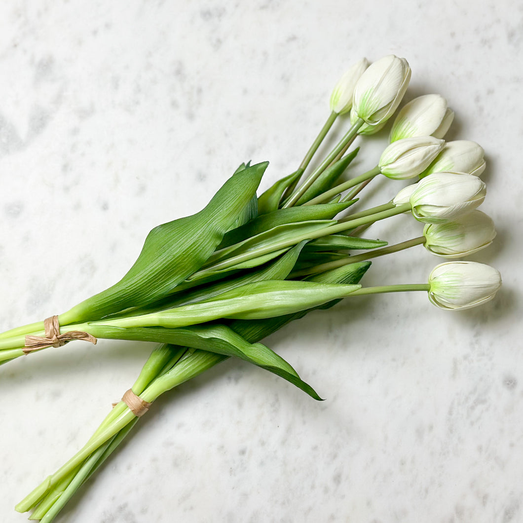 Dutch Tulip Bundle