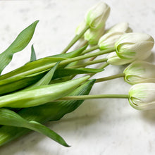 Load image into Gallery viewer, Dutch Tulip Bundle
