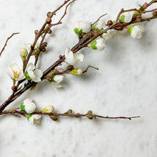 Load image into Gallery viewer, Blossom Branch
