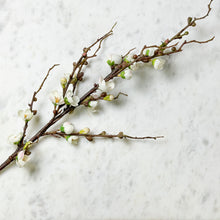 Load image into Gallery viewer, Blossom Branch
