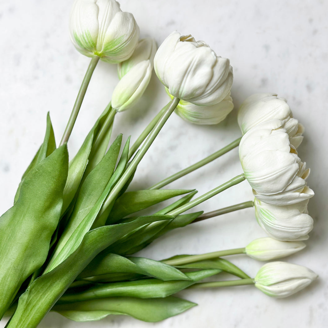 Peony Tulip Bundle