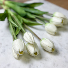 Load image into Gallery viewer, Dutch Tulip Bundle
