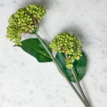 Load image into Gallery viewer, Viburnum Branch

