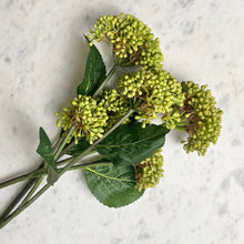 Load image into Gallery viewer, Viburnum Branch
