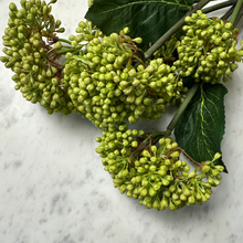 Load image into Gallery viewer, Viburnum Branch
