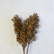 Load image into Gallery viewer, Sorghum Stem
