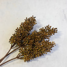 Load image into Gallery viewer, Sorghum Stem
