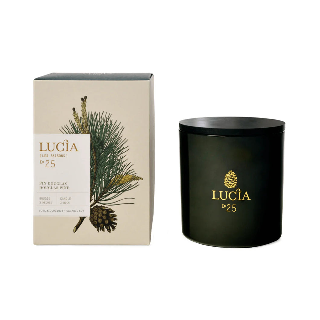 Lucia Douglas Pine 3 Wick Candle