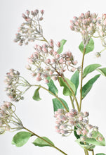 Load image into Gallery viewer, 31&quot; Faux Pink Wild Sedum Berry Stem

