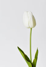 Load image into Gallery viewer, 15&quot; Faux White Real Touch Tulip Stem
