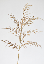 Load image into Gallery viewer, Faux Beige Wild Wheat Stem
