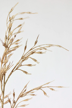 Load image into Gallery viewer, Faux Beige Wild Wheat Stem
