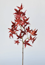 Load image into Gallery viewer, Faux Japanese Maple Leaf Stem
