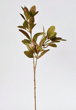 Load image into Gallery viewer, Faux Metallic Lemon Leaf spray
